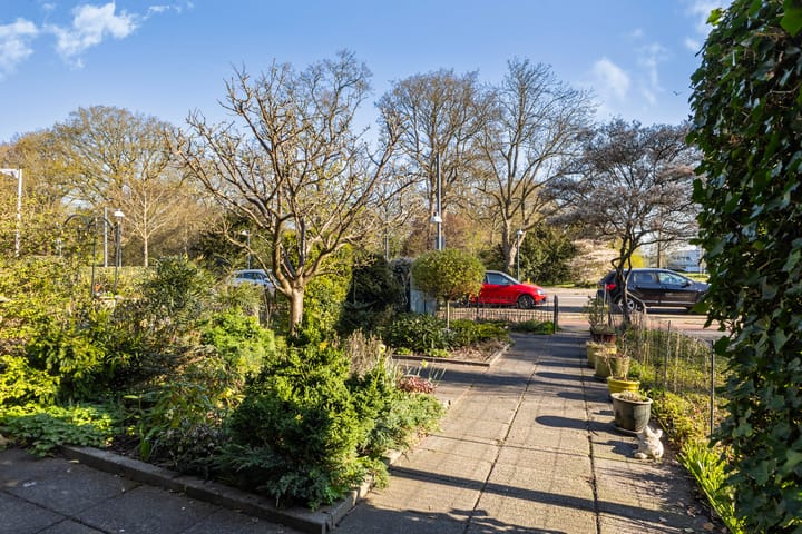 Foto 10 van Spanjaardslaan 23