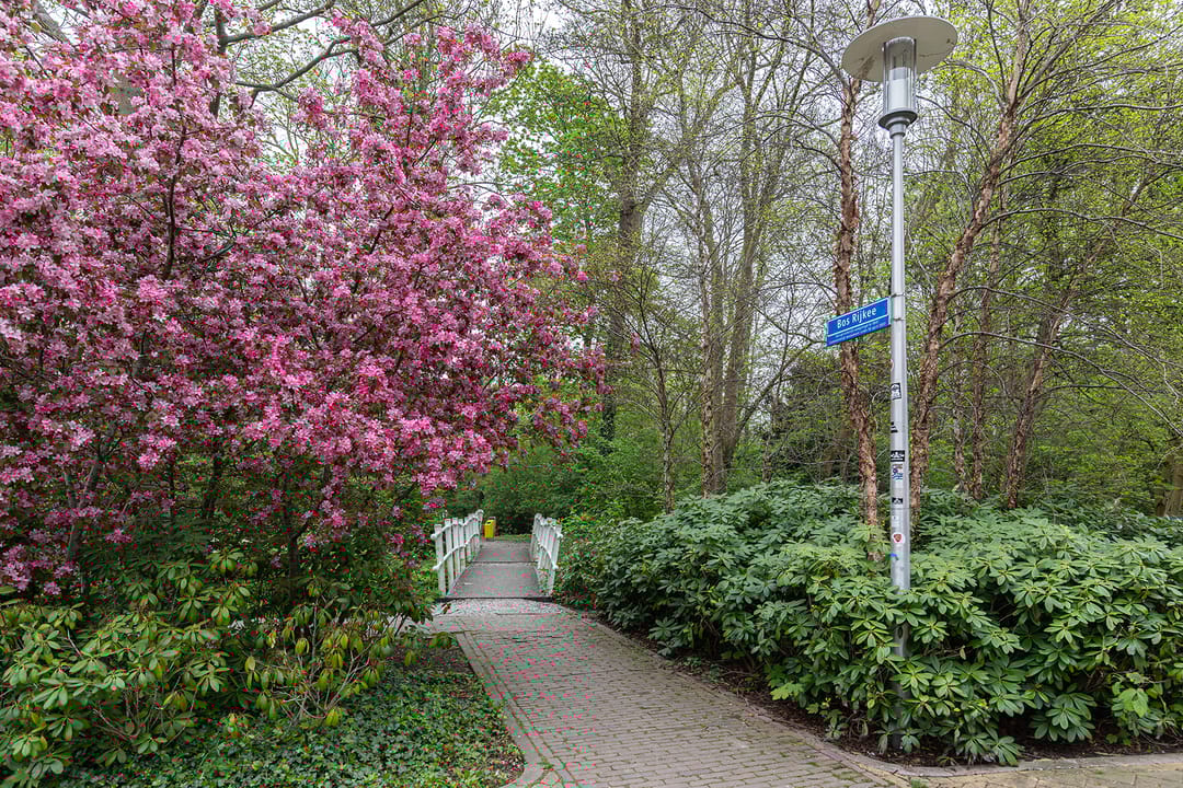 Foto 23 van Nedersassen 61