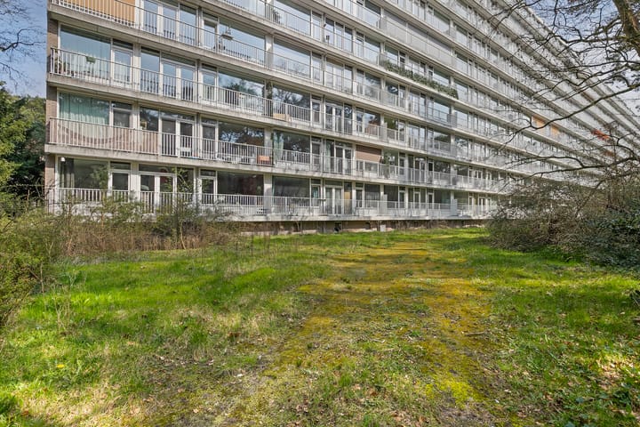 Foto 2 van Anna Paulownalaan 38