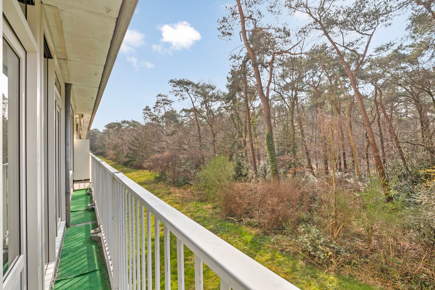 Foto 4 van Anna Paulownalaan 38