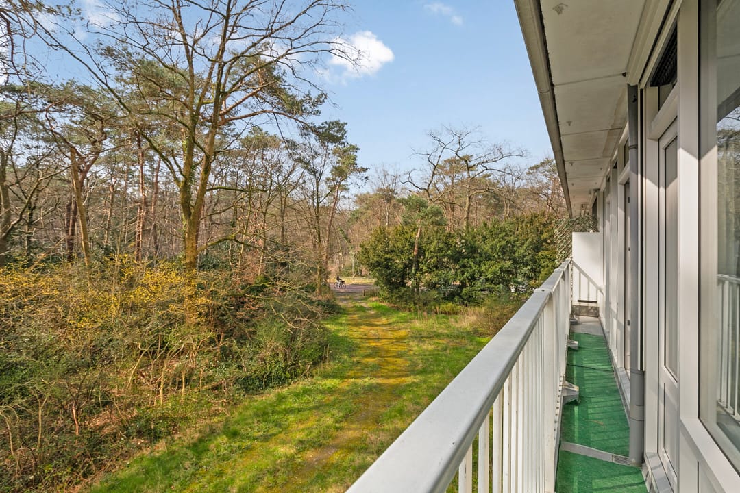 Foto 16 van Anna Paulownalaan 38