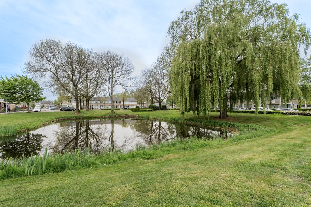 Foto 38 van Voorweiden 10