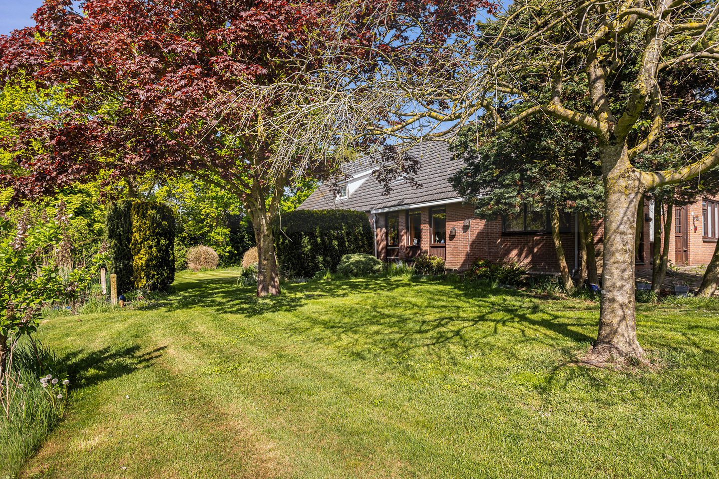 Foto 10 van Europaweg 247