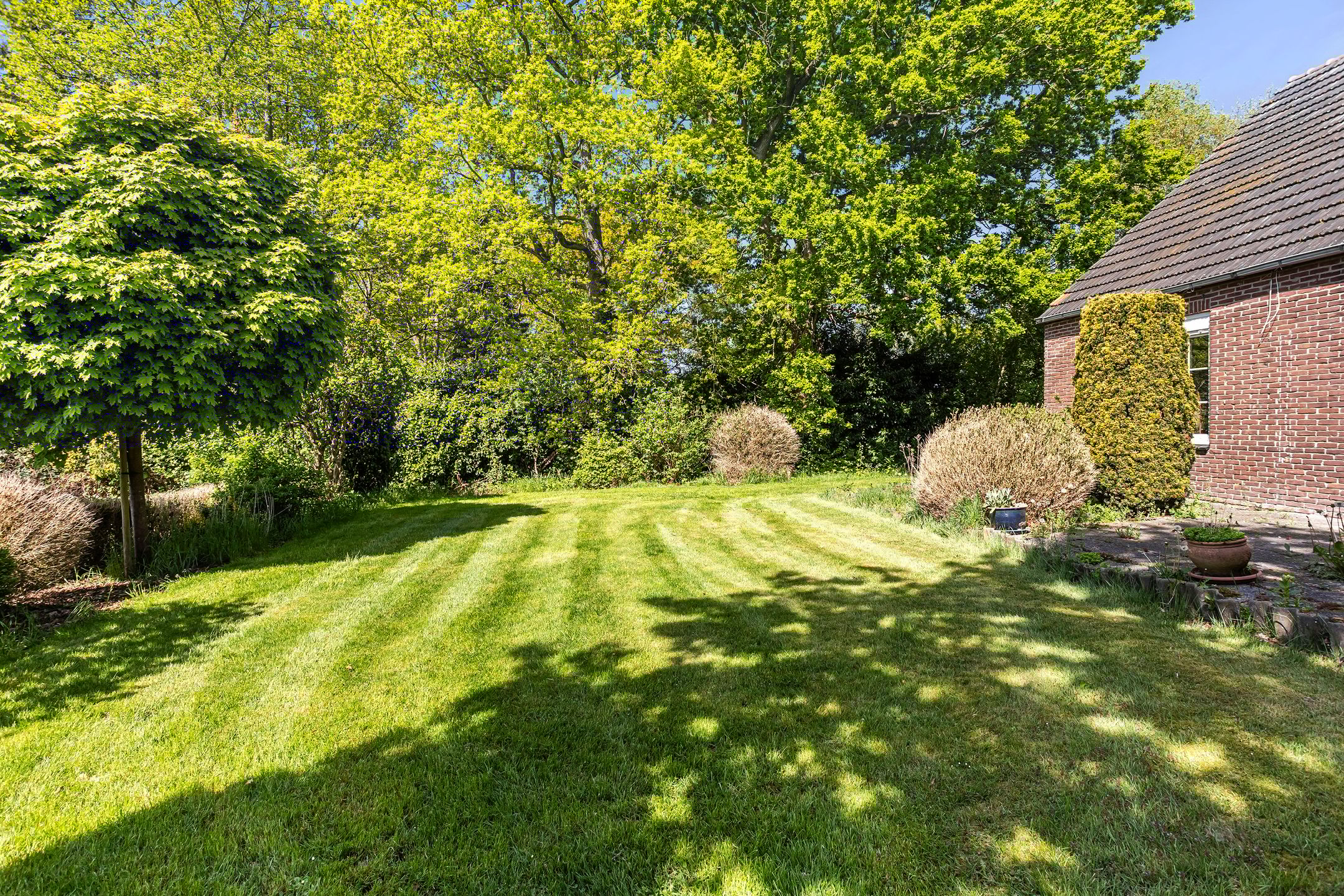 Foto 12 van Europaweg 247