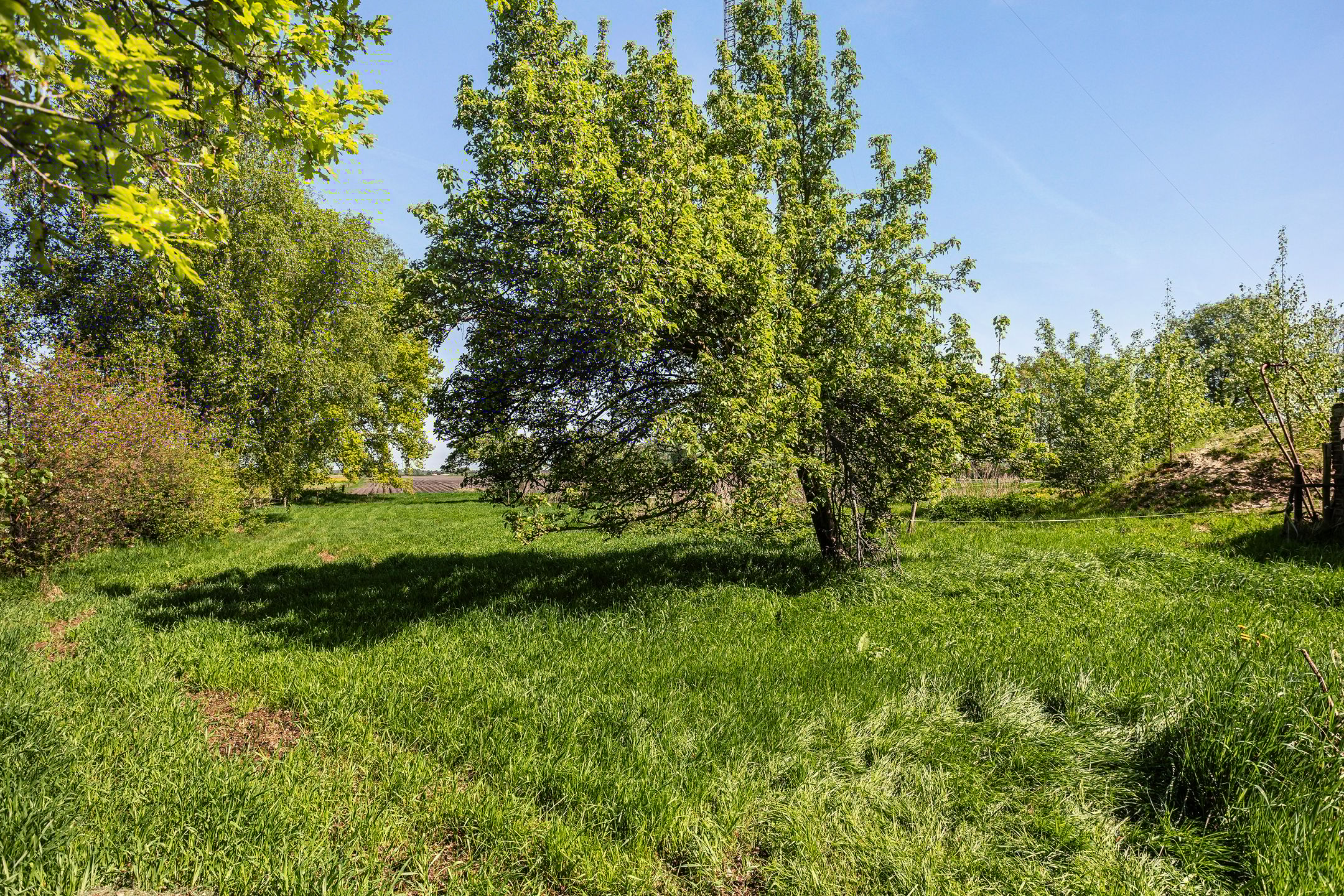 Foto 15 van Europaweg 247