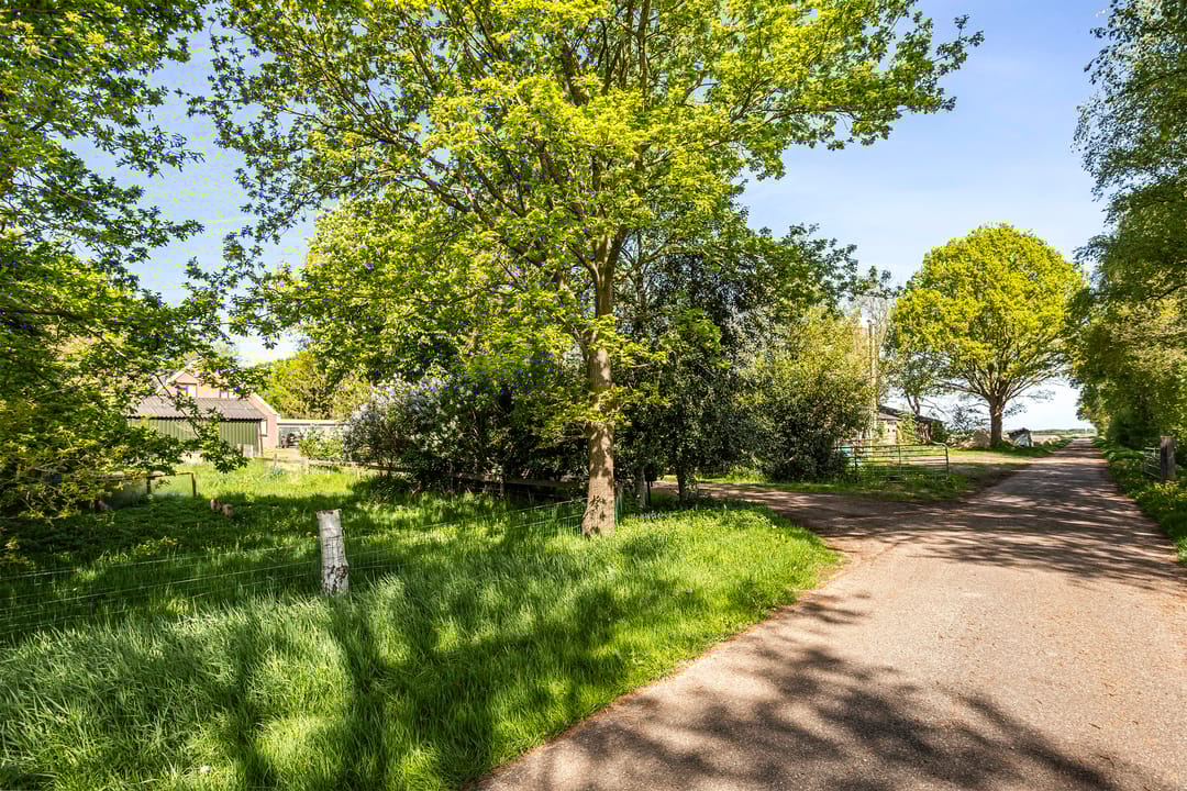 Foto 17 van Europaweg 247