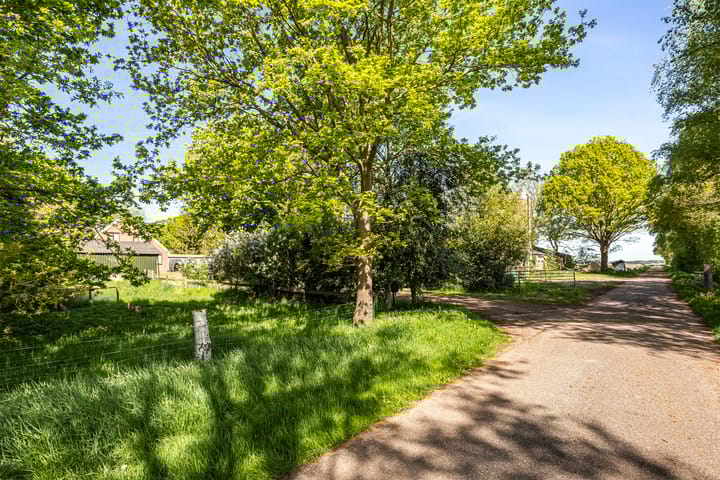 Foto 17 van Europaweg 247