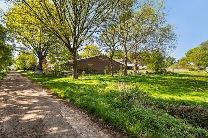 Foto 20 van Europaweg 247