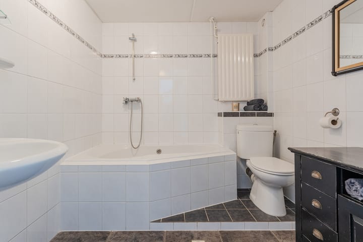 Foto 4 van Hoornblad 6