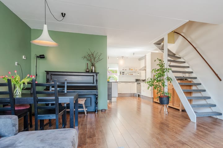 Foto 5 van Hoornblad 6