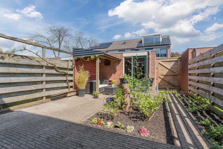 Foto 6 van Hoornblad 6