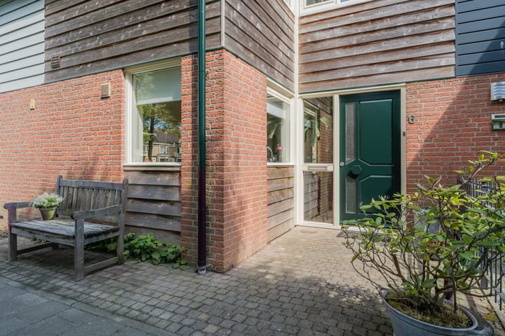 Foto 7 van Hoornblad 6