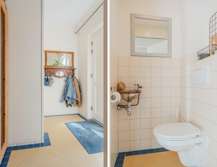 Foto 8 van Hoornblad 6