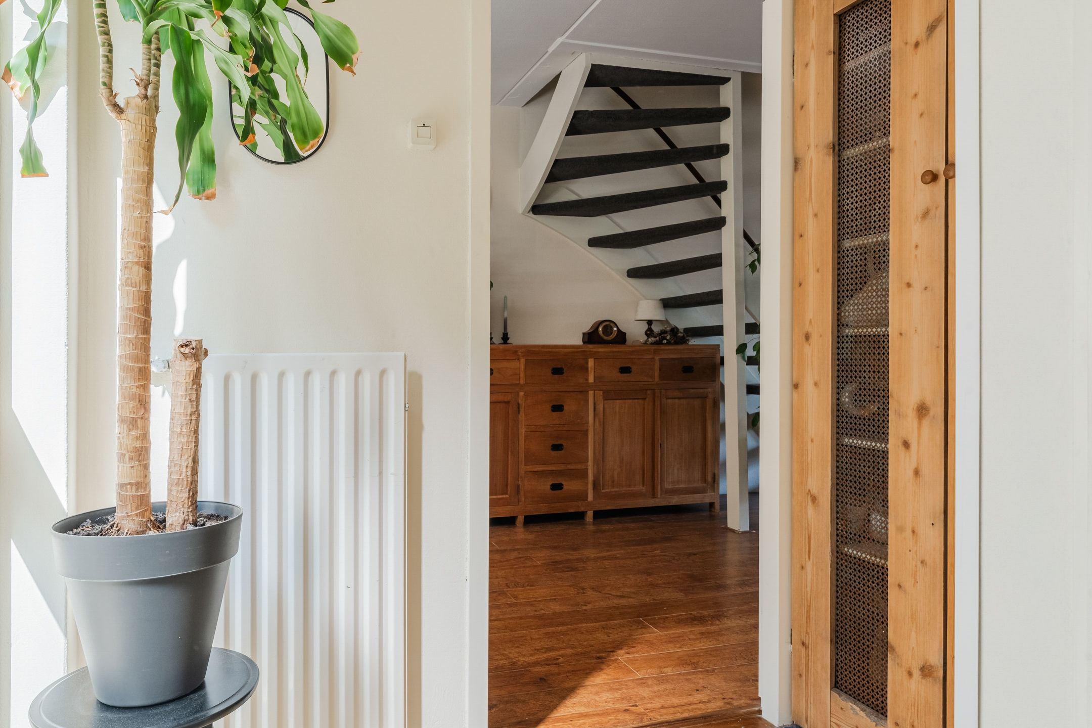 Photo 9 of Hoornblad 6