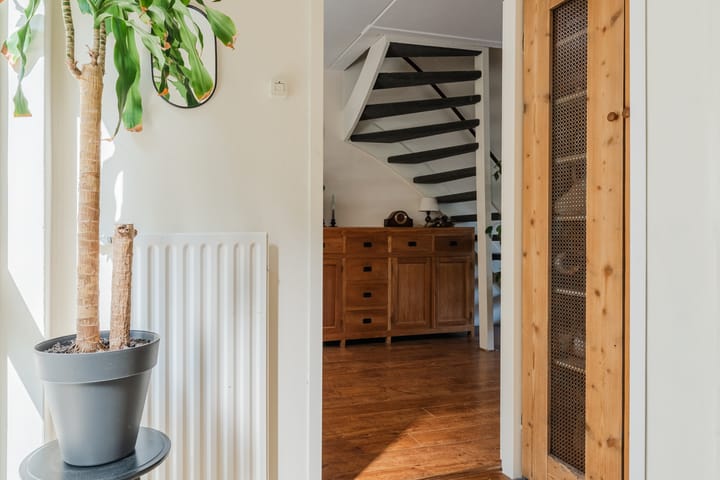 Foto 9 van Hoornblad 6