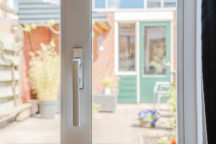 Foto 12 van Hoornblad 6