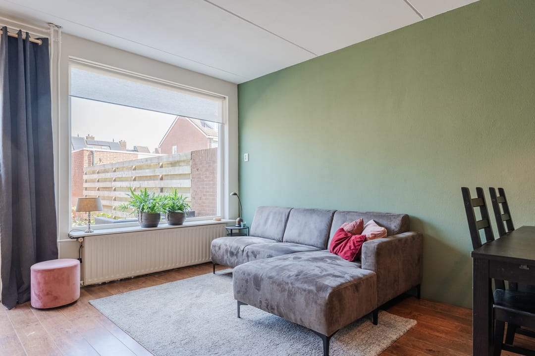 Photo 13 of Hoornblad 6