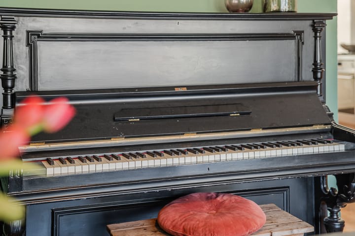 Foto 15 van Hoornblad 6