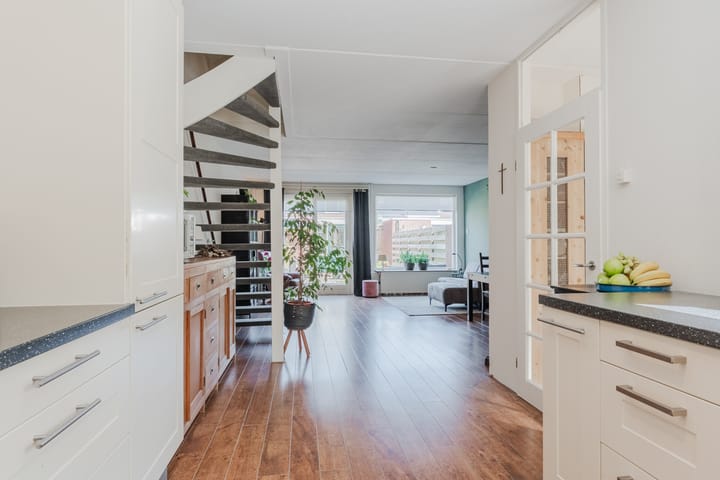 Foto 16 van Hoornblad 6