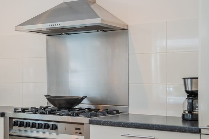 Foto 17 van Hoornblad 6