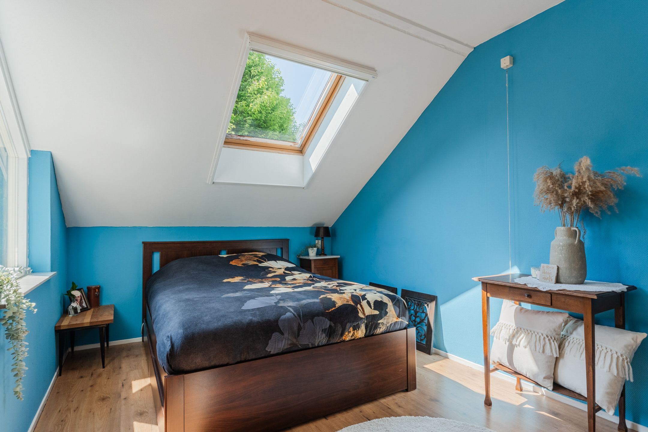 Photo 18 of Hoornblad 6