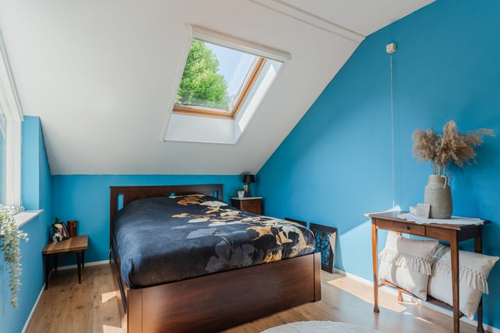 Foto 18 van Hoornblad 6