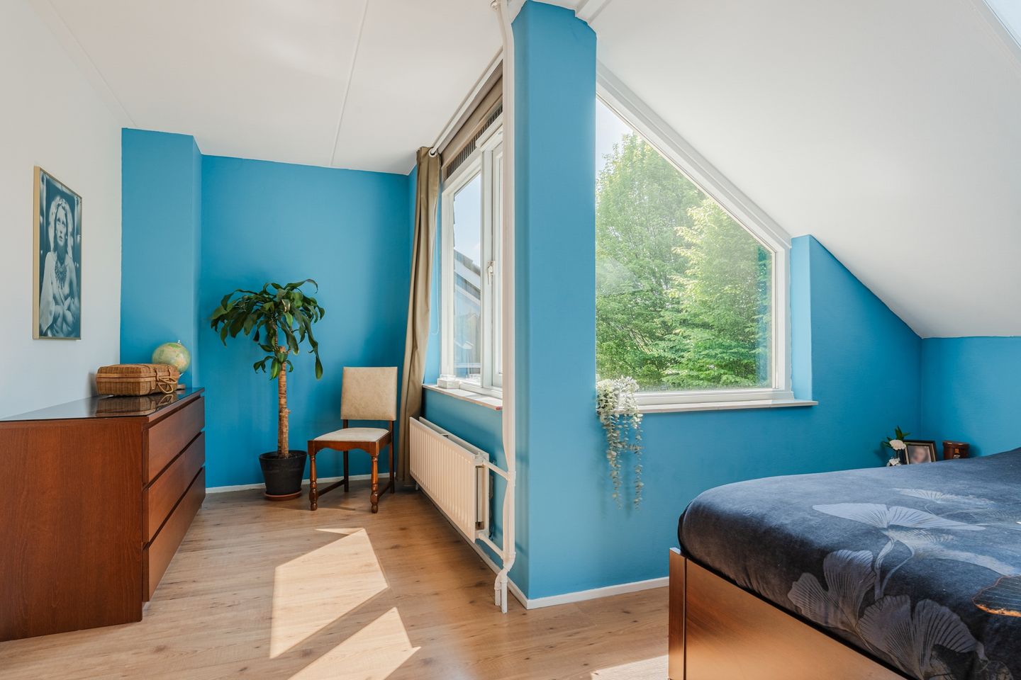 Photo 19 of Hoornblad 6