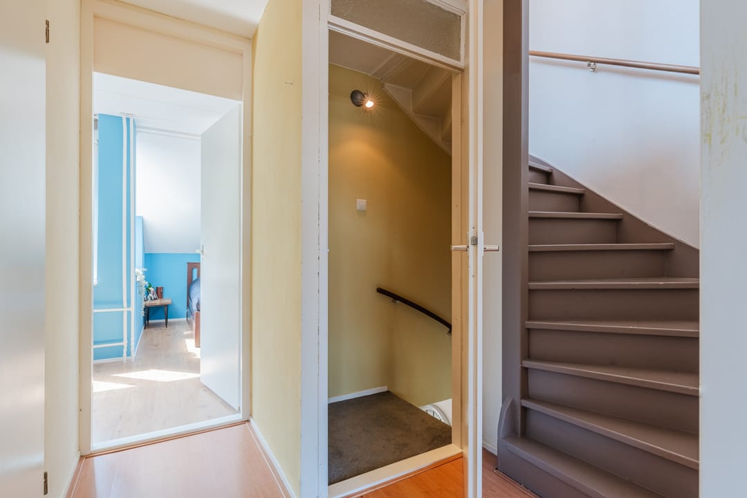 Photo 23 of Hoornblad 6