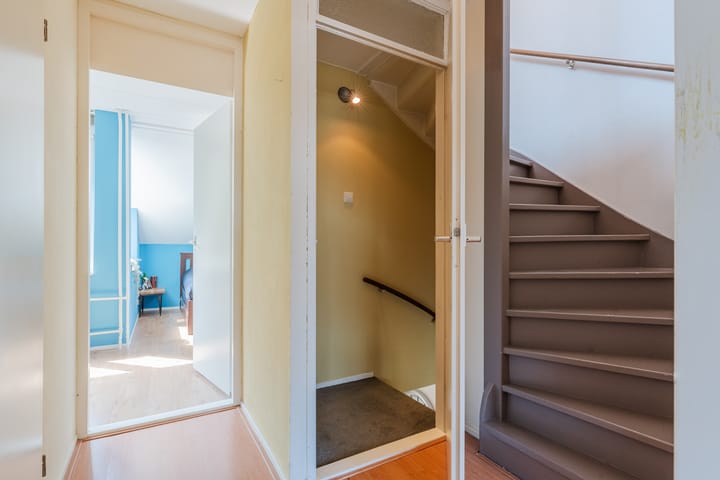 Foto 23 van Hoornblad 6