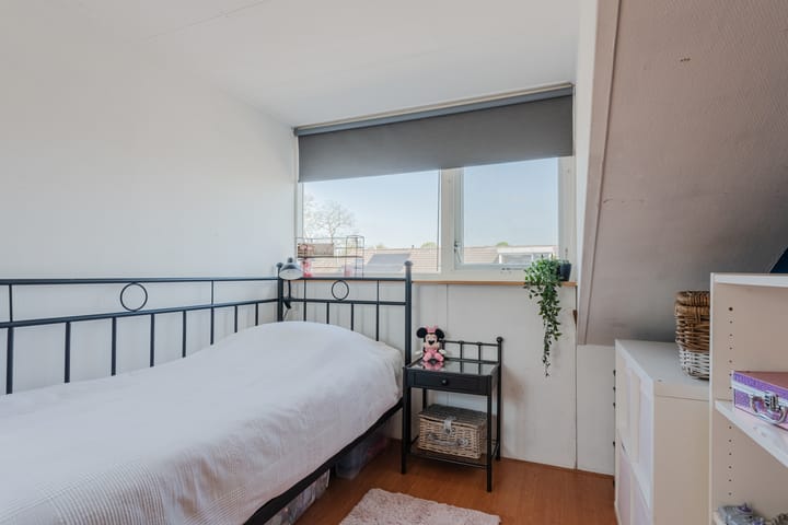 Foto 24 van Hoornblad 6