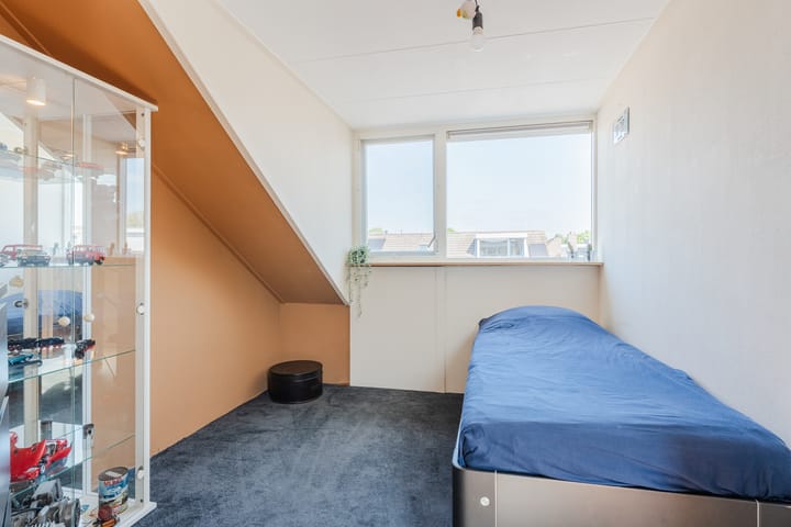 Foto 25 van Hoornblad 6