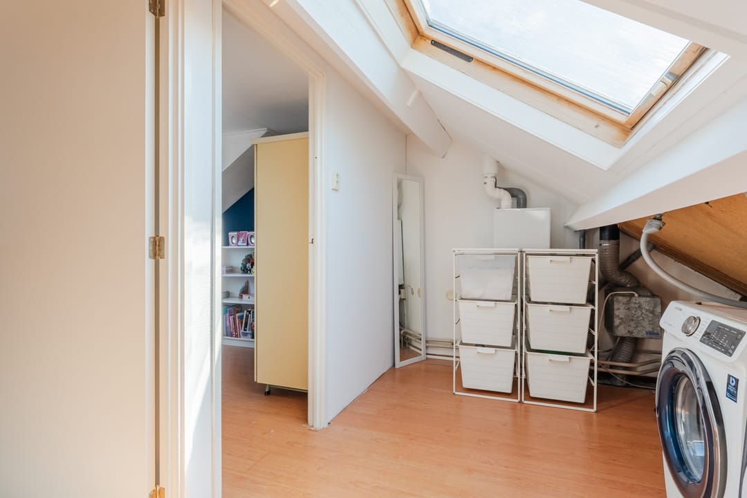 Photo 26 of Hoornblad 6