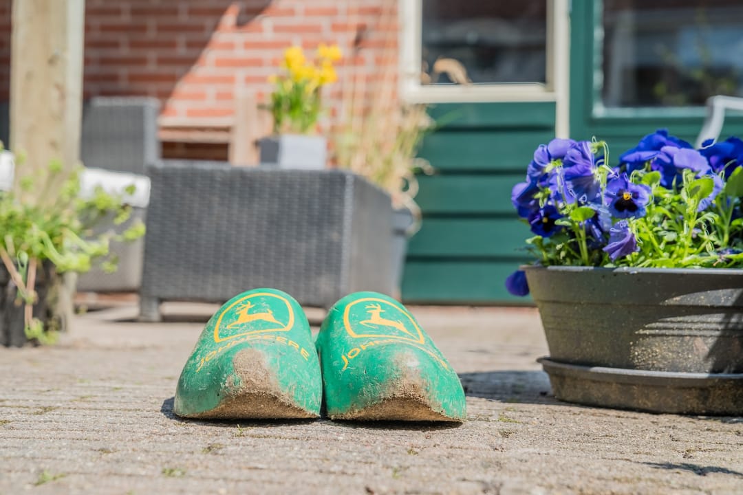 Photo 31 of Hoornblad 6