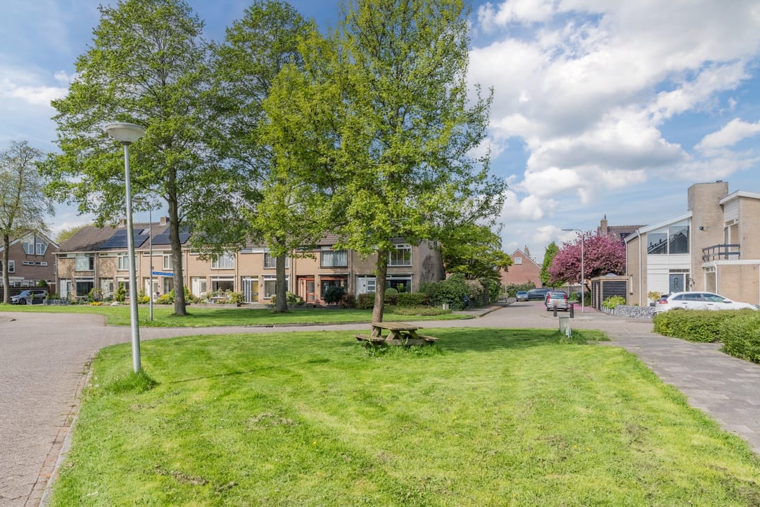 Photo 32 of Hoornblad 6