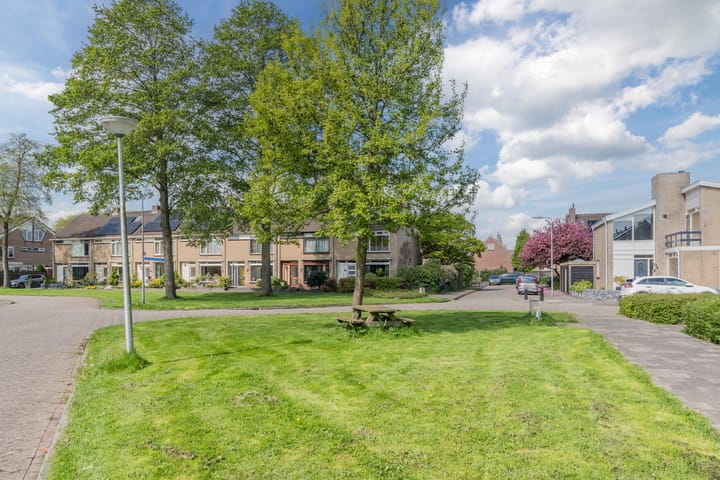 Foto 32 van Hoornblad 6