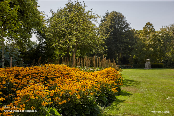 Foto 31 van Parkweg 17-C