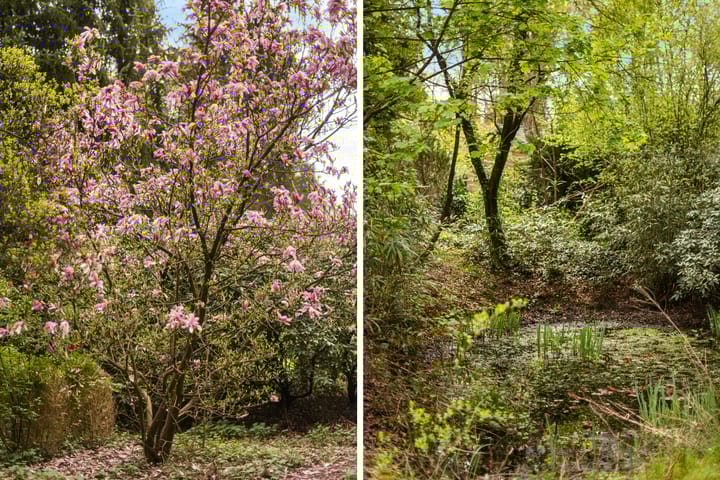 Foto 8 van Rosengaardeweg 30