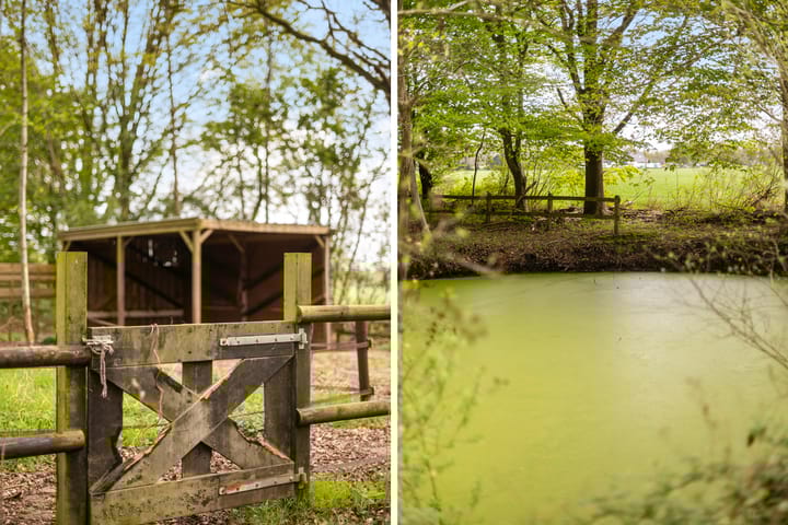 Foto 42 van Rosengaardeweg 30