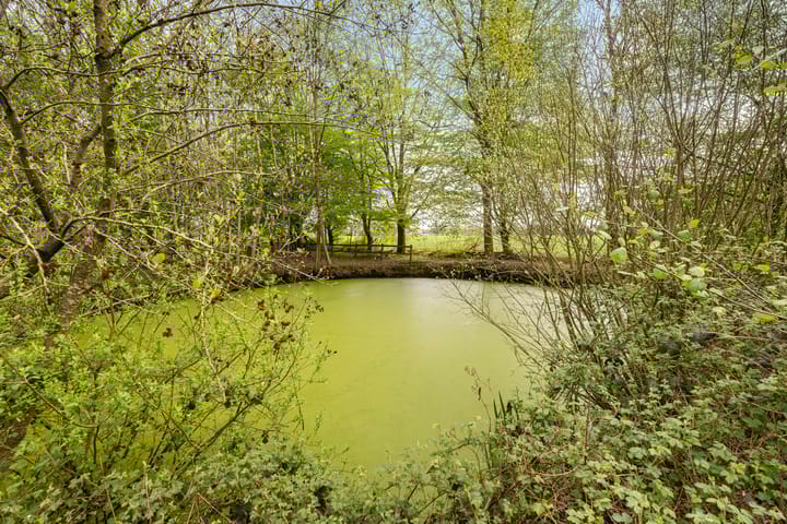 Foto 43 van Rosengaardeweg 30