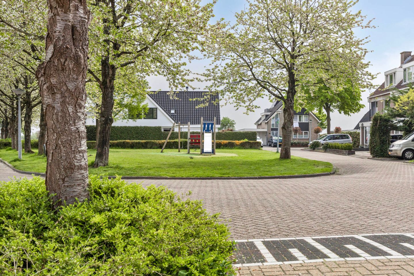 Foto 35 van Leeuwetand 46