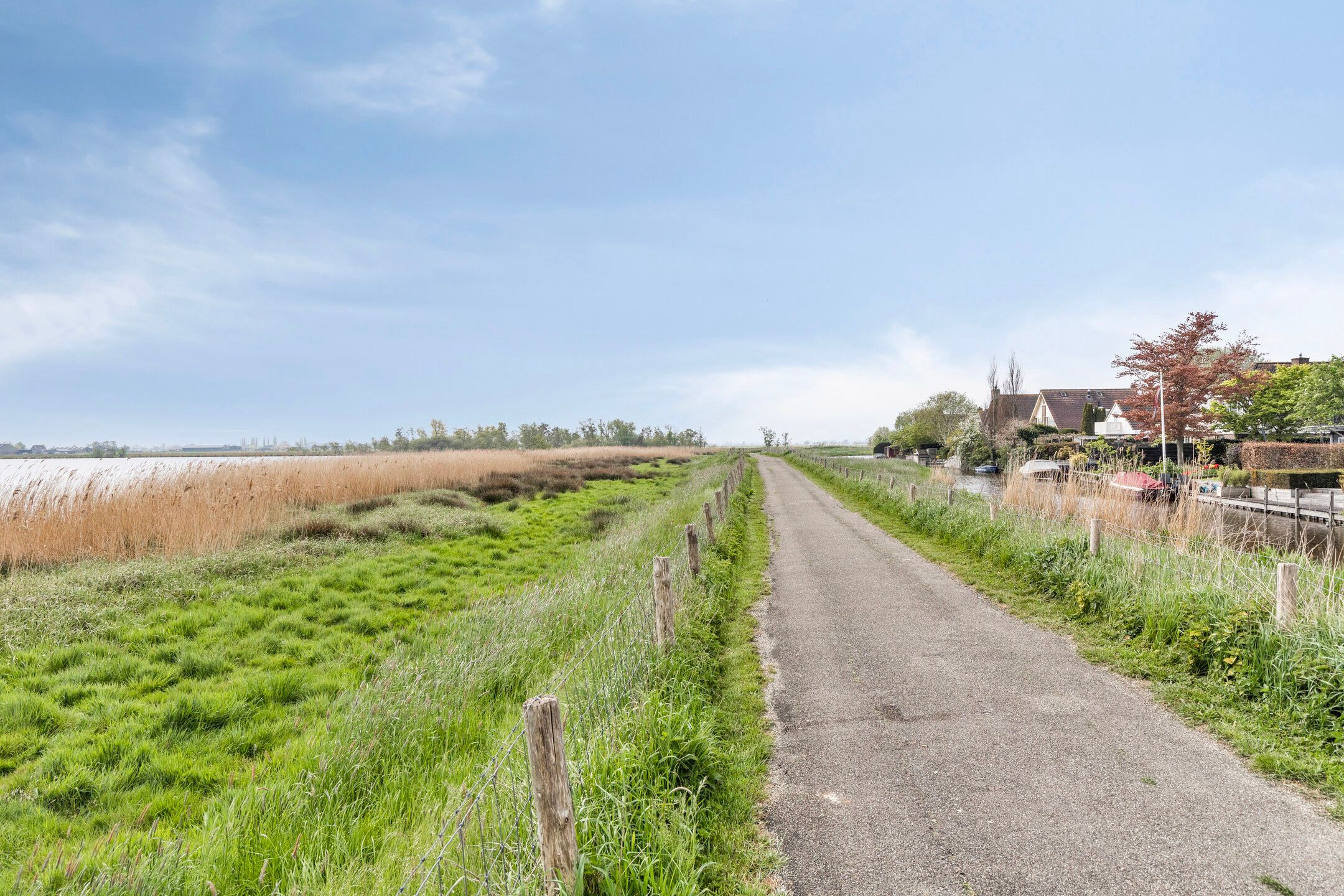 Foto 39 van Leeuwetand 46