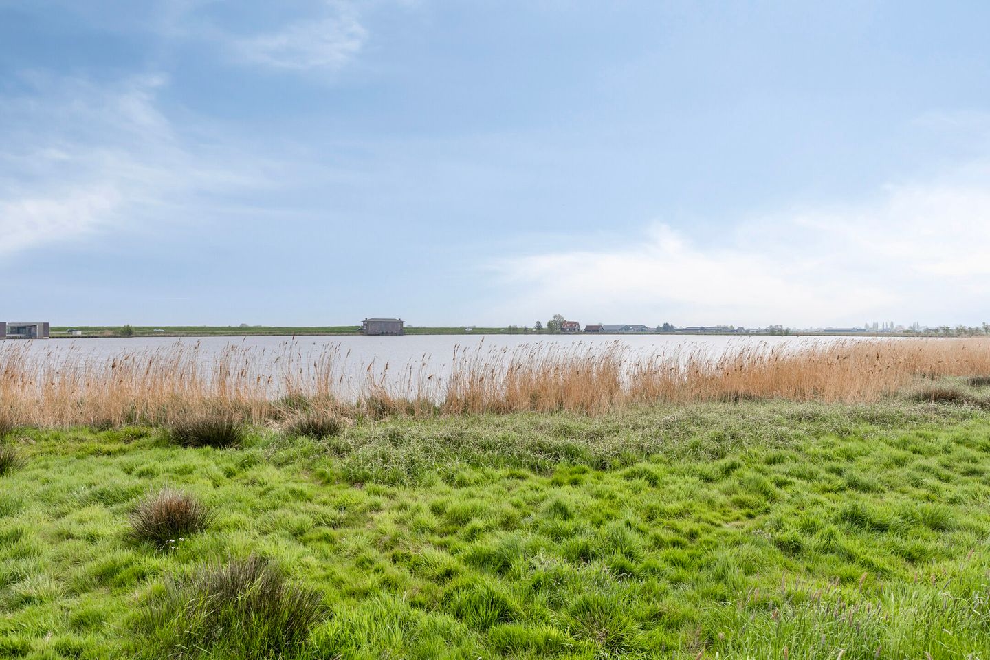 Foto 40 van Leeuwetand 46