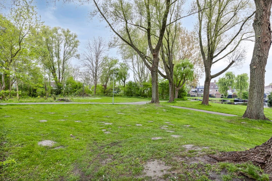 Foto 41 van Leeuwetand 46