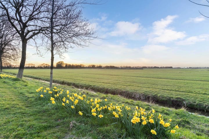 Foto 64 van Eastwei 40