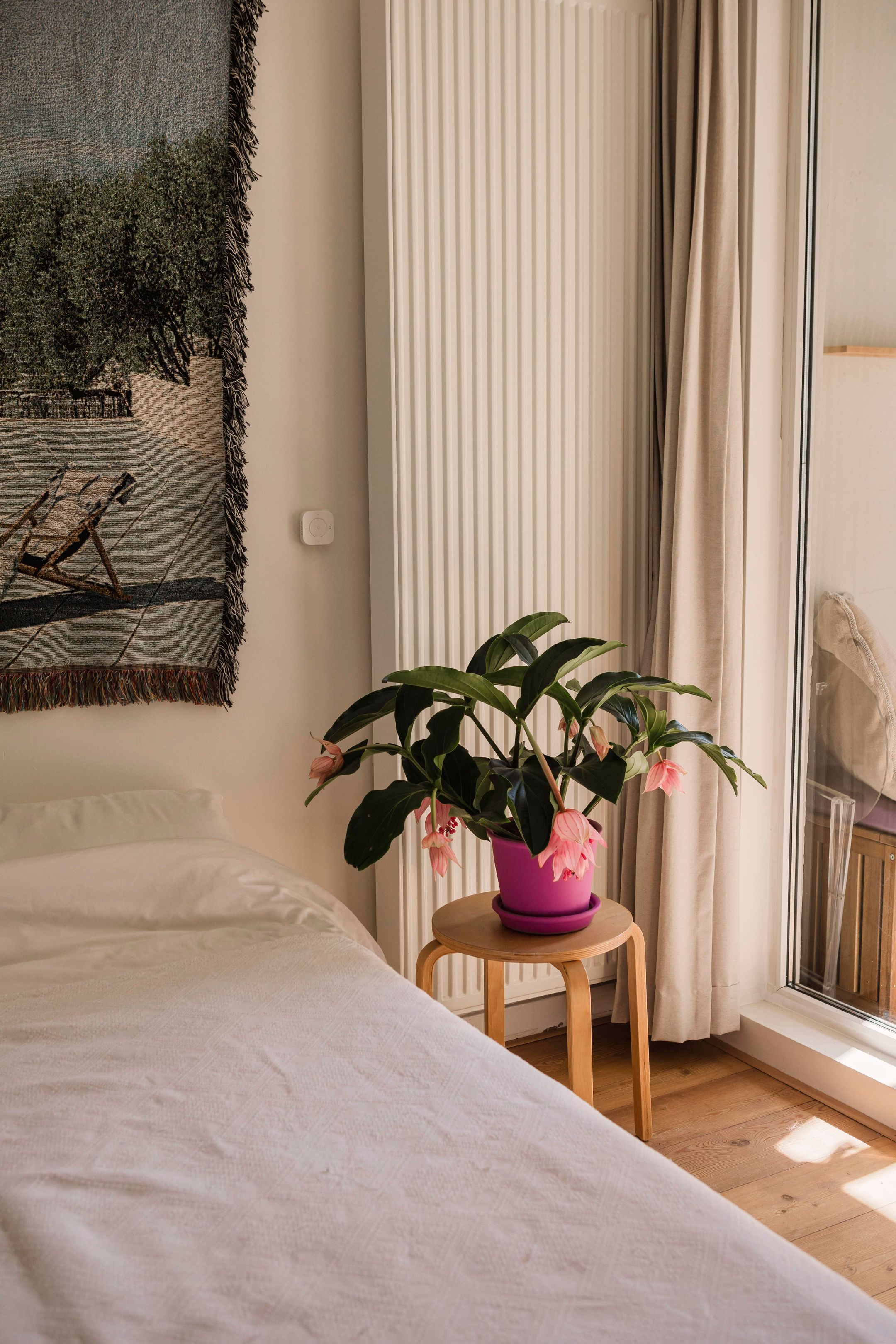 Photo 12 of Haarlemmerweg 211-2