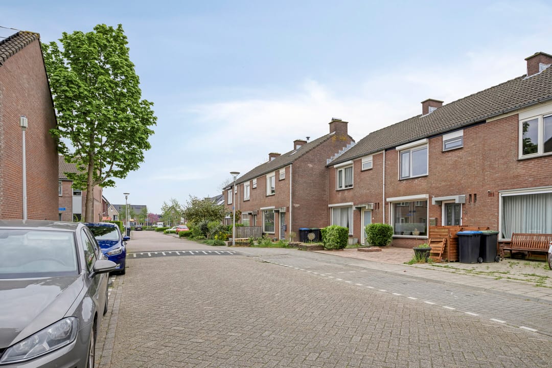 Foto 43 van Korte Meten 6