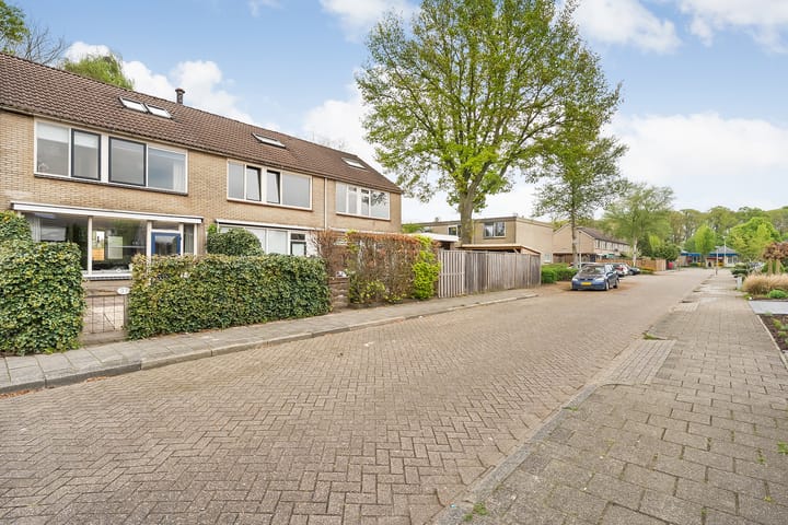 Photo 34 of Boekweitstraat 37