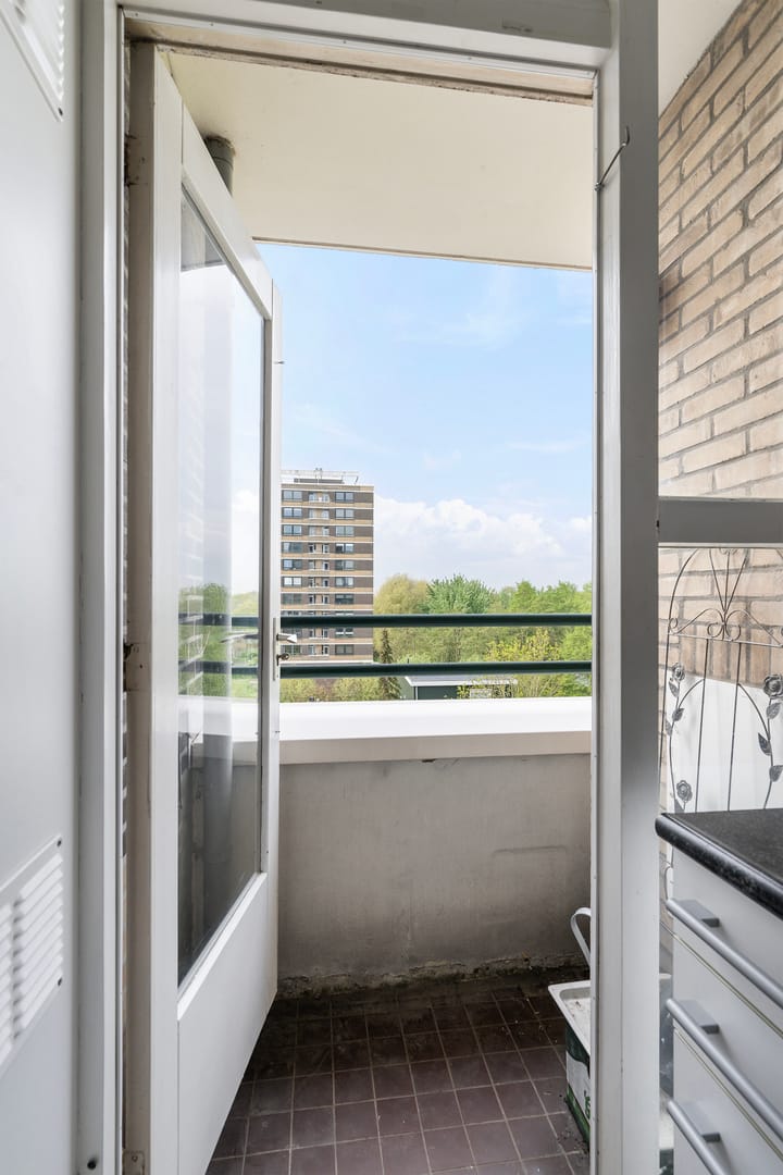 Foto 21 van Boerhaavestraat 413