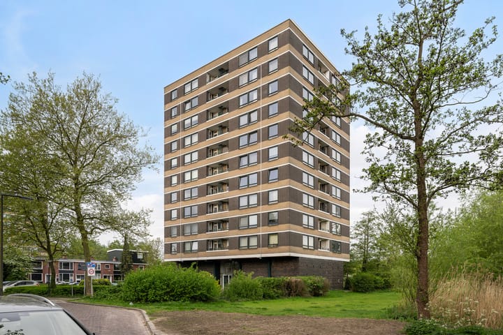 Foto 36 van Boerhaavestraat 413