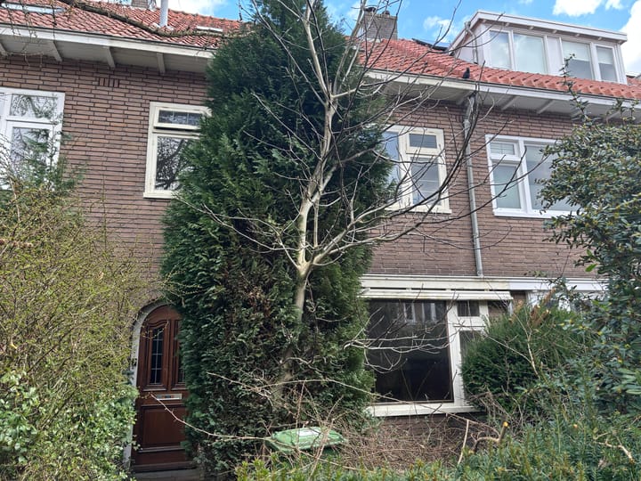 Foto 1 van Boerhaavelaan 37